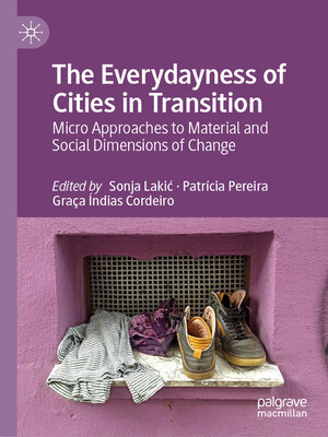 cover image of The Everydayness of Cities in Transition